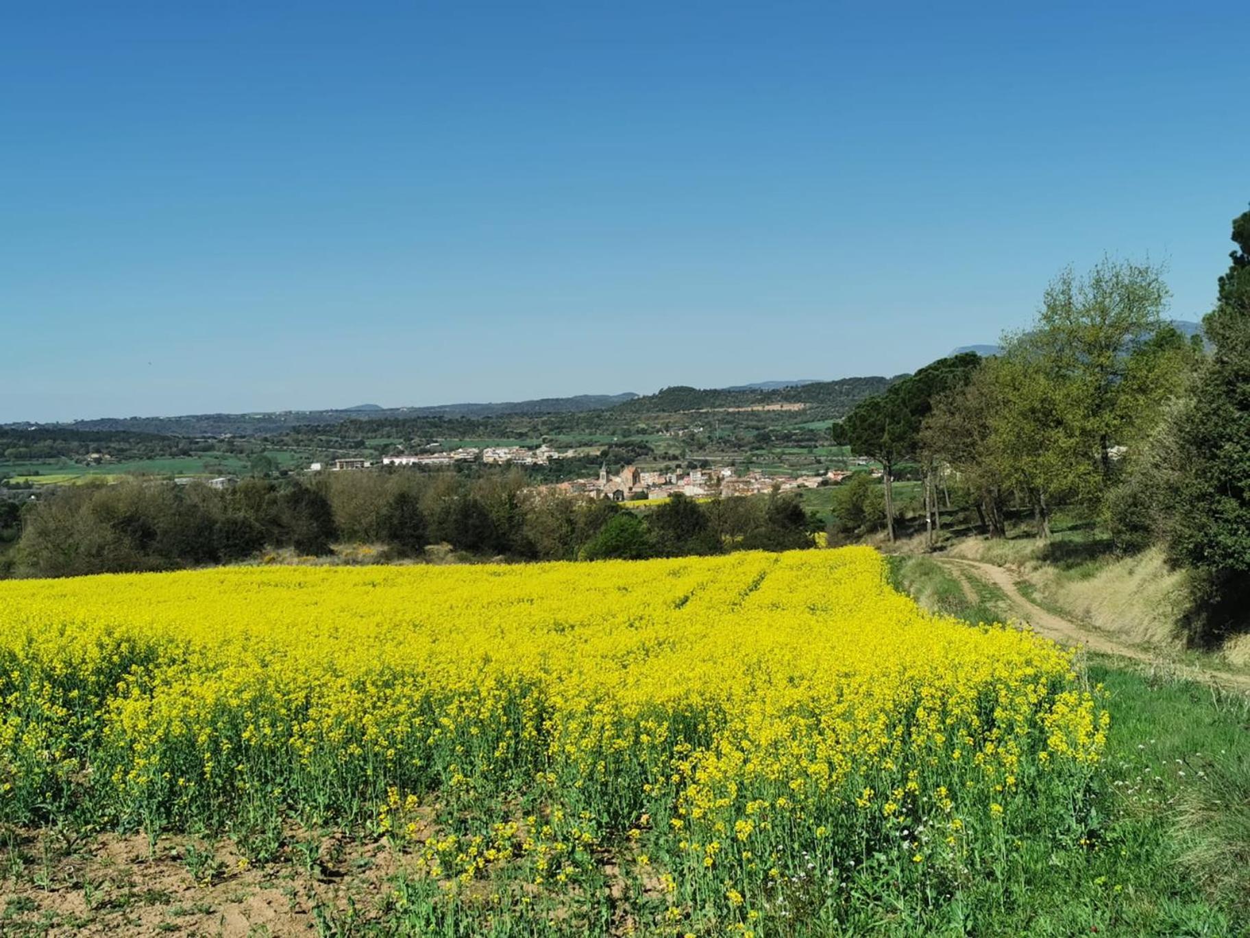 Ca L'Herminia Gironella Kültér fotó